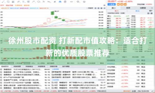徐州股市配资 打新配市值攻略：适合打新的优质股票推荐
