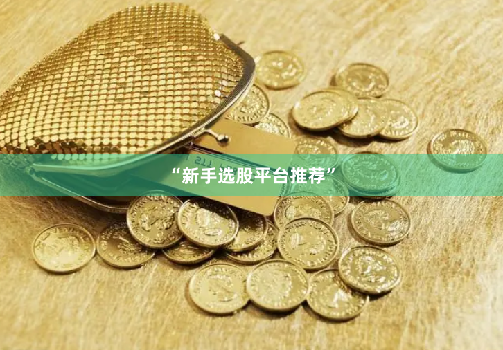 “新手选股平台推荐”