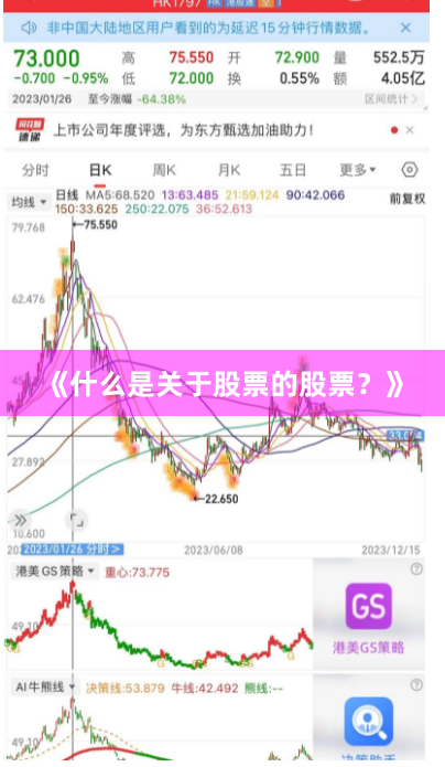 《什么是关于股票的股票?》